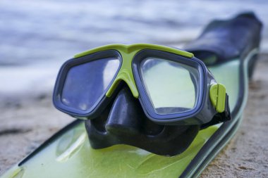 Palet ve maske kıyıda yatıyor.