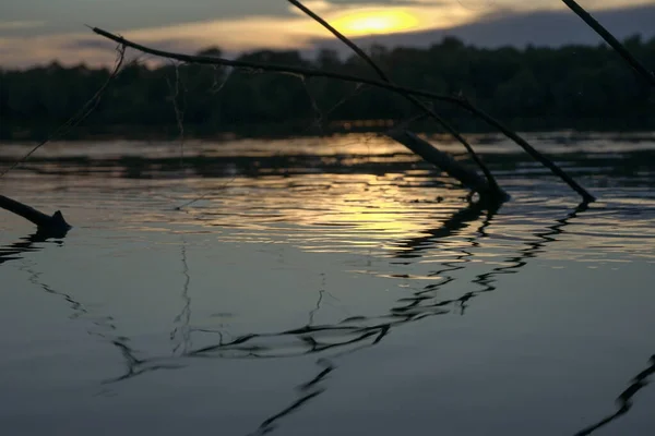 Rozgałęziony Haczyk Brzegu Rzeki Promieniach Wieczornego Słońca — Zdjęcie stockowe