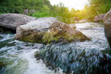 Güzel bir dağ deresi taşların ve kayaların arasında akıyor.