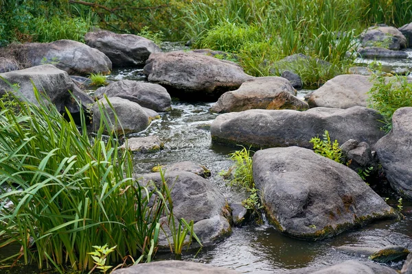 石や岩の間を流れる美しい渓流は — ストック写真