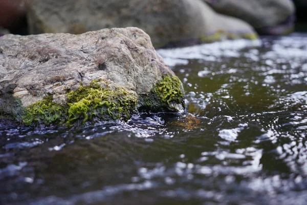 Een Prachtige Bergstroom Stroomt Tussen Stenen Rotsen — Stockfoto