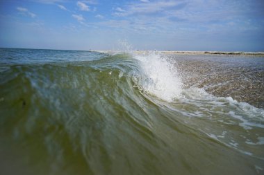 Beyaz armalı deniz mavisi dalgalar karaya kabuklarla vurur.