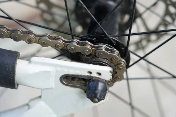 bike chain on rear sprocket single speed, close-up