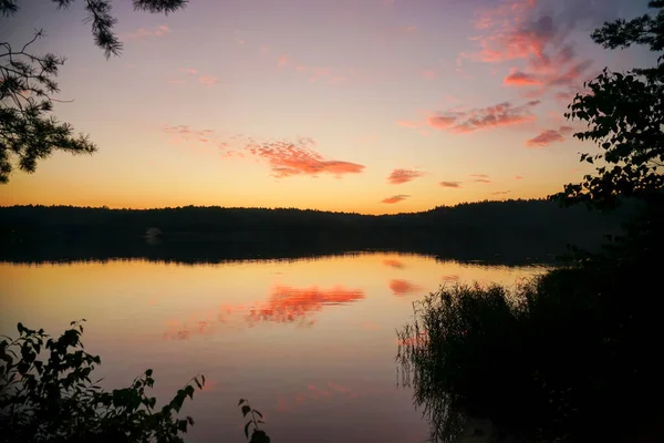 Sunset Lake Which Conifers Grow Sky Yellow Pink — Stock Photo, Image