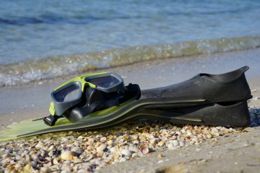 Şnorkelli maske ve yüzgeçler deniz kıyısında yatıyor.