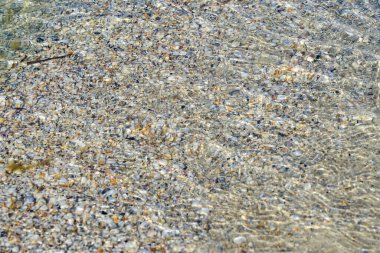 Altında kabuklar olan şeffaf deniz suyu dokusu