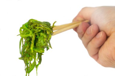Hiyashi Wakame salatası elinde çubuk tutuyor. Beyaz arkaplanı kapat