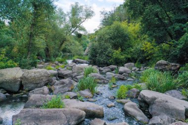 Nehir, büyük taşlar ve kayalarla dolu bir kanyondan akar.
