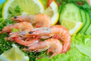 Karides, sebze dilimleri ve karides salatası için yeşillikler.