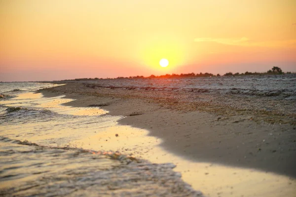Denizdeki bir adada güzel bir gün batımı