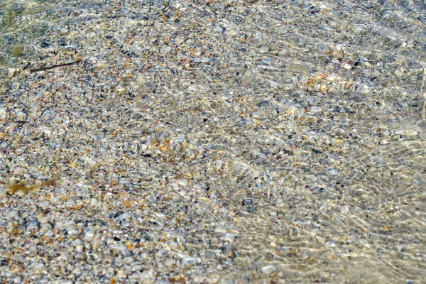 Textura Água Mar Transparente Com Conchas Parte Inferior — Fotografia de Stock