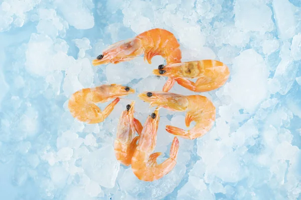 Les Crevettes Cuites Gisent Sur Glace Crevettes Congelées — Photo