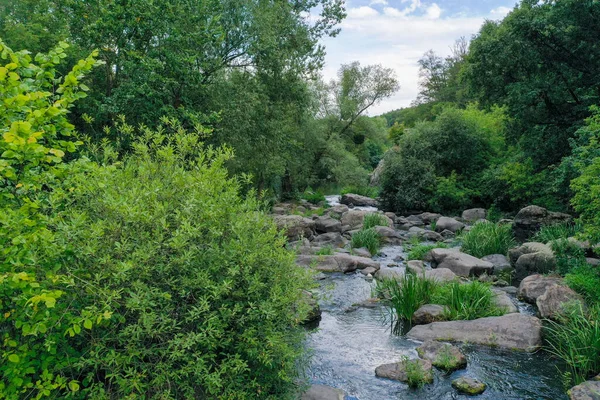 Nehir, büyük taşlar ve kayalarla dolu bir kanyondan akar.
