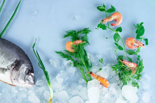 新鲜的多拉达鱼 蓝底上有冰和虾 水下拟南芥的组成 — 图库照片