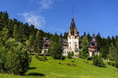Güzel Peles Sarayı kale ayakta uzak görünümü bir tepede içinde orman Karpat Dağları'nın, Sinaia, Romanya