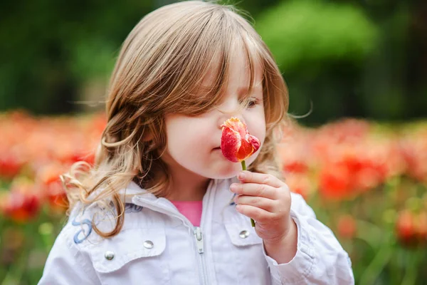 Schattig klein krullend haar blonde meisje ruiken een tulp — Stockfoto