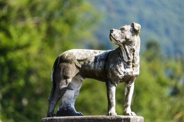 Sinaia, Romanya - 20 Ağustos 2014: Güzel Neo-Rönesans Peles Sarayı kalede Karpat Dağları, Kral Carol I. terasları heykeller ile dekore edilmiş için 1873 ve 1914 arasında inşa dış ayrıntılarını