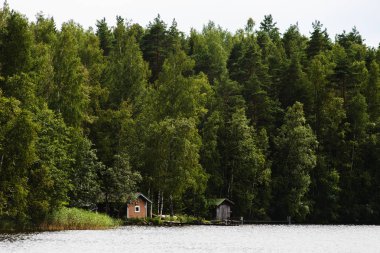 Uzak yaz orman yakın göl Fin saunası binalara görünümü