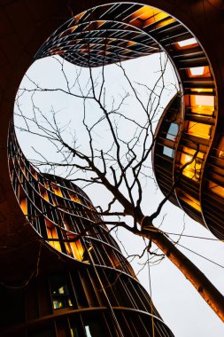 modern mimari geometri şekil satırları arasında çıplak ağaca