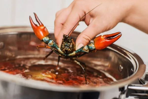 Fresh crawfish in a pan with bowling water and spices — ストック写真