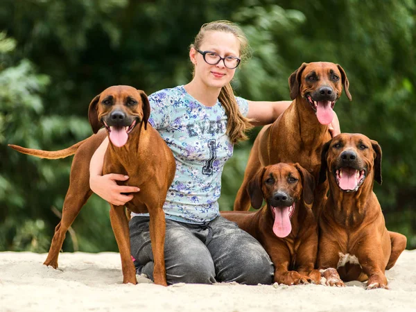 Glimlachend meisje en vier vrolijke Rhodesian Ridgeback hond — Stockfoto