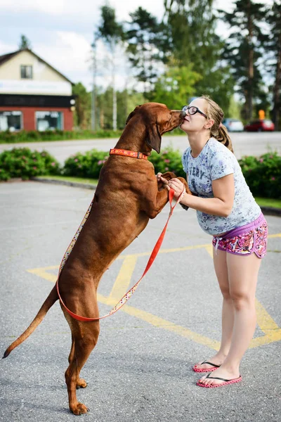 Беременная девушка в очках обнимает и целует собаку — стоковое фото
