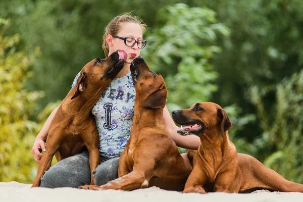 Gülümseyen kız üç mutlu köpeğini kucaklıyor ve öpüyor. — Stok fotoğraf