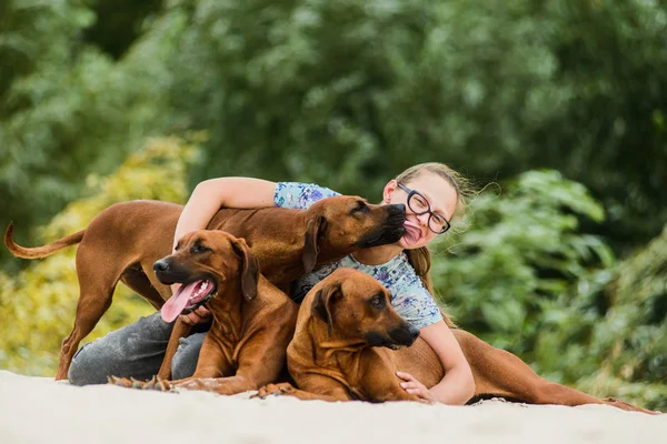 Glimlachend meisje knuffelen en kussen haar drie gelukkige honden — Stockfoto