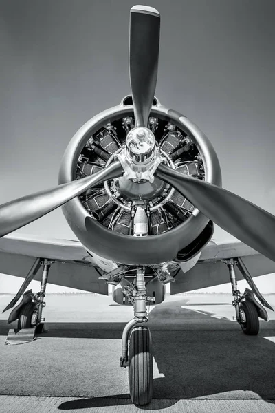 Propeller Eines Sportflugzeugs — Stockfoto