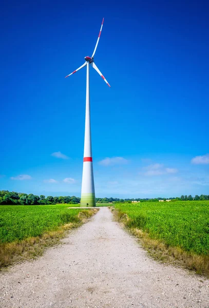 在一片草地上的风力发电机组 — 图库照片