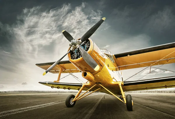 Aviones Históricos Una Pista Aterrizaje —  Fotos de Stock