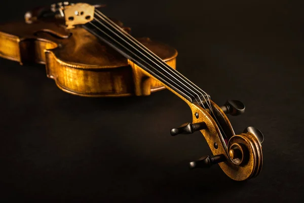 Perto Violino — Fotografia de Stock