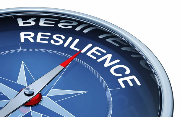 Rendering Compass Word Resilience — Stock Photo, Image