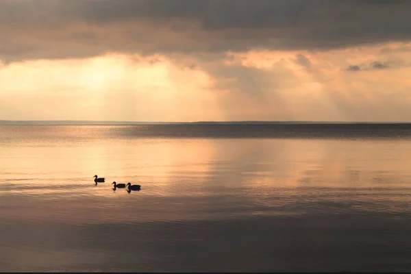 Sonnenstrahlen durch Wolken über dem stillen See vor dem Regen — Stockfoto