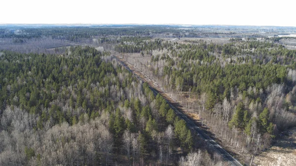 春の森を横切る鉄道の高い空中ドローンビュー。田舎の場所 — ストック写真