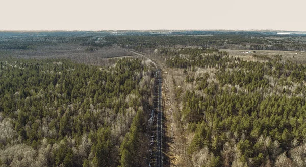 春の森を横切る鉄道の高い空中ドローンビュー。田舎の場所 — ストック写真