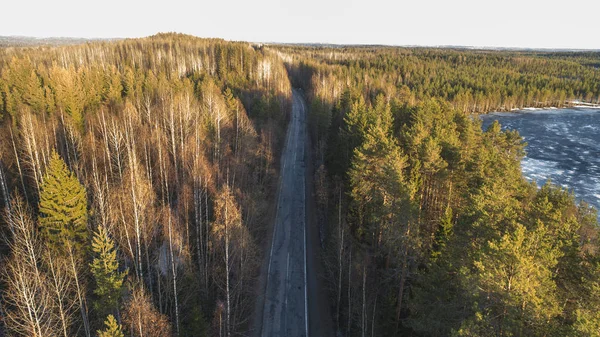 Vista aérea da estrada rural da primavera na floresta de pinheiros amarelos com lago de gelo derretido — Fotografia de Stock