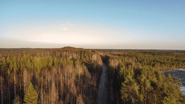 Luchtfoto van de lente landelijke weg in het gele dennenbos met smeltend IJsmeer — Stockfoto