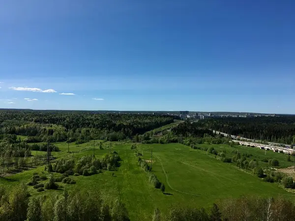 Groen grasveld en heldere blauwe hemel. Achtergrond. — Stockfoto