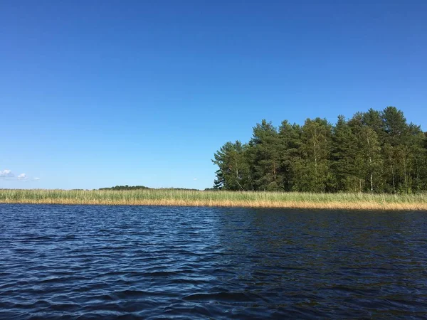 Paisagem de lago rural com junco - lago calmo e céu claro — Fotografia de Stock