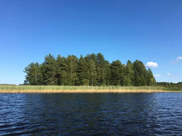 Paisagem de lago rural com junco - lago calmo e céu claro — Fotografia de Stock