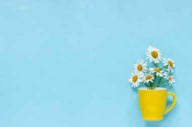 Buket papatya papatyalar pastel mavi renkli kağıt arka plan üzerinde sarı kupa çiçekler Kartpostal, yazı, metin veya tasarım Düz yatıyordu Top view Concept Hello yaz için şablon