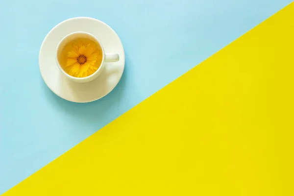 Eine gelbe Coreopsis-Blume in Tasse auf gelbem und blauem Papierhintergrund mit minimalem Kopierraum für Schriftzüge, Text oder Ihr Design. kreative Ansicht von oben — Stockfoto