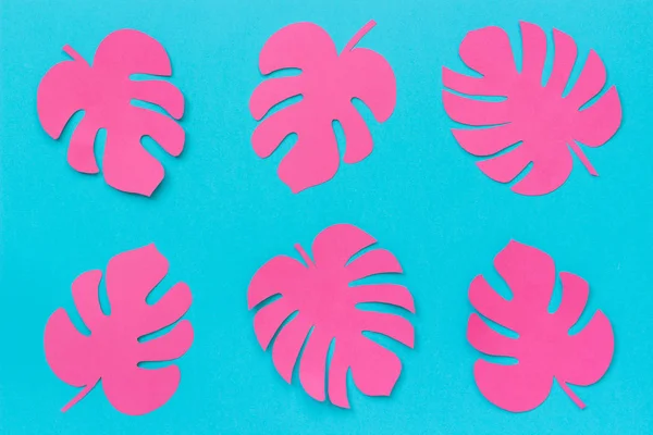 Folhas tropicais cor-de-rosa brilhantes monstera de papel sobre fundo azul. Flat lay Top-view arte do papel criativo — Fotografia de Stock
