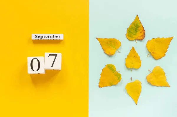 Composition d'automne. Calendrier en bois 7 septembre et feuilles d'automne jaunes sur fond bleu jaune. Vue de dessus Flat lay Mockup Concept Bonjour Septembre — Photo