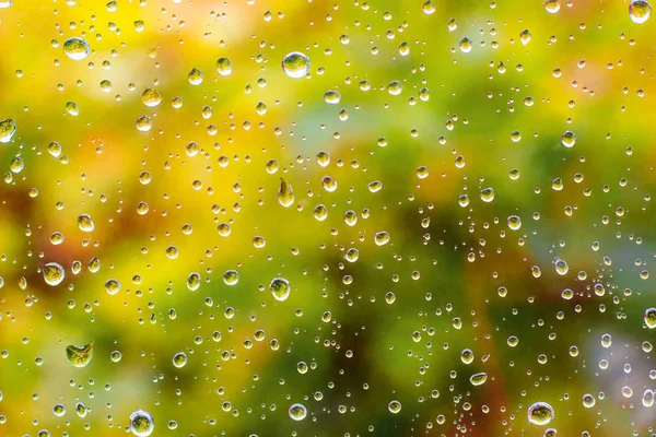 Regendruppels op het raam, herfst loof — Stockfoto