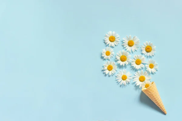 Ramilletes de manzanilla flores en helado de gofre cono sobre papel de color azul pastel Copia de espacio Plantilla para postal, texto con letras o tu diseño Flat lay Vista superior Concepto Hello summer — Foto de Stock