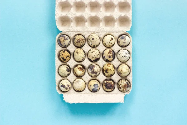 Ovos de codorna em caixa de papelão sobre fundo de papel azul. Modelo Visão superior Copie letras de espaço, texto ou seu design — Fotografia de Stock