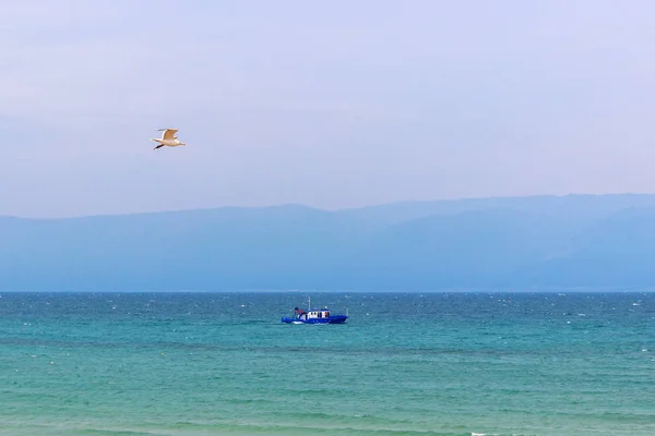 Kapal transportasi dan burung camar di danau Baikal — Stok Foto