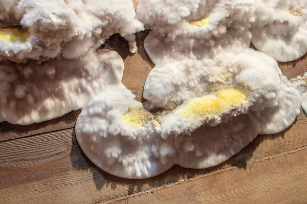 White yellow fluffy mold fungus on wooden board in cellar, attic, basement in residential building — Stock Image White yellow fluffy mold fungus on wooden board in cellar, attic, basement in residential building Royalty Free Stock Images